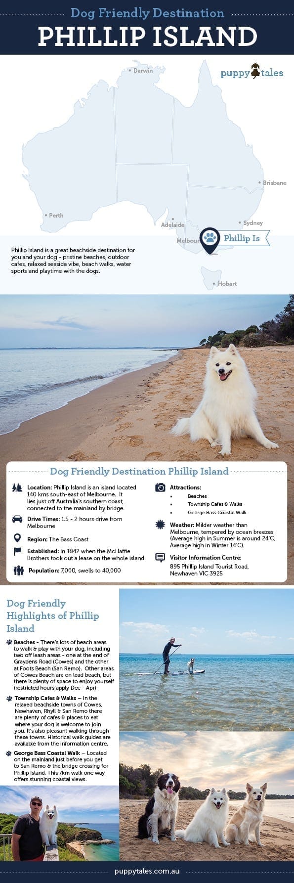 Dog Friendly Destination Phillip Island Puppy Tales